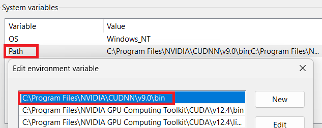 NVIDIA cuDNN Path